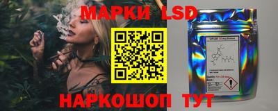 молекула духа Донской