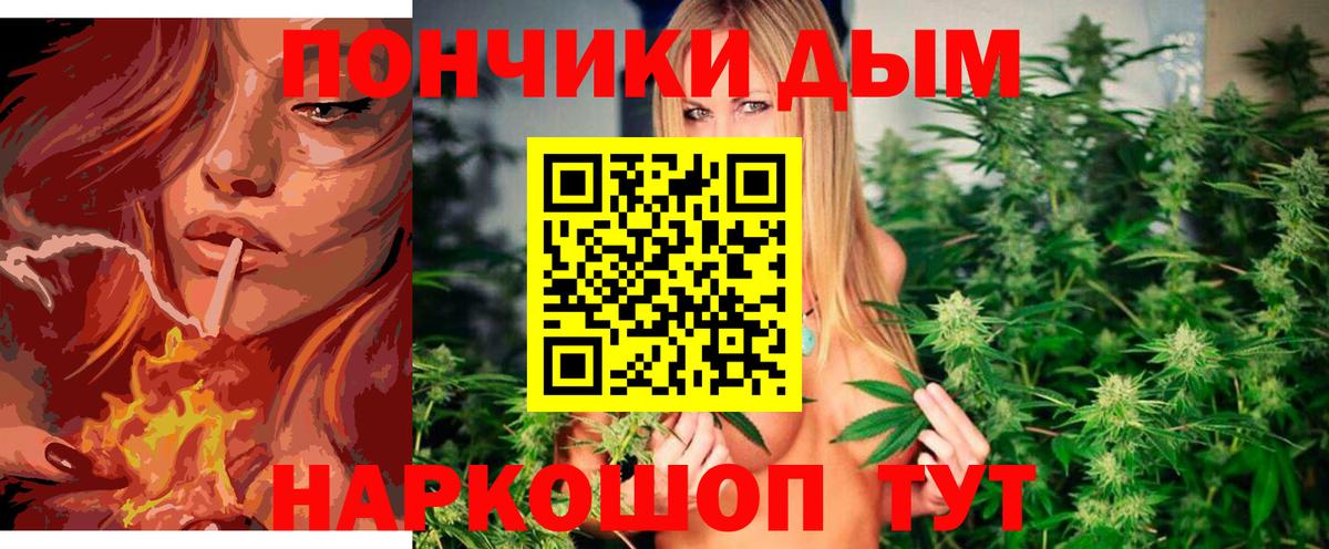 Канабис сатива Тында